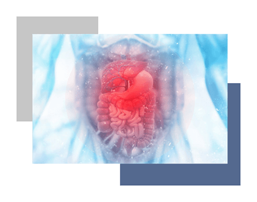 Integrative Digestive Formula